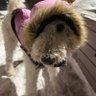 old bastard's profile picture