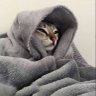 ๐๐๐๐๐๐๐๐๐ง's profile picture