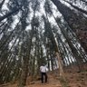 AvoodaiNayagam 的头像