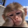 moniece's profile picture
