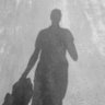 Profilbild von Profirm Hunter