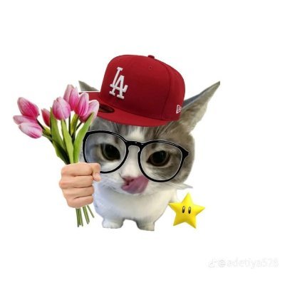 KarinNahla8776's profile picture