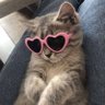 fantaszasztikus :)'s profile picture