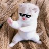 ฮูอายู ยู้ฮู ยู้ฮู 💦👶💚💙🦦🐇 profil fotoğrafı