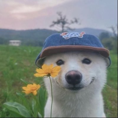 Riċ's profile picture