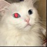 Profilbild von A..