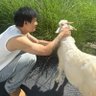 Justin(薄肌版)'s profile picture