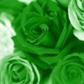 💚 🇸🇦 ꧁ نجوى ꧂🇸🇦💚 profil fotoğrafı
