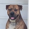 Martian's profile picture