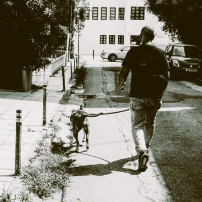 Miltiadis Benakis's profile picture