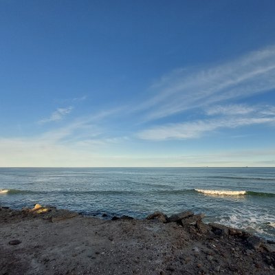 ceciliabarrien3's profile picture