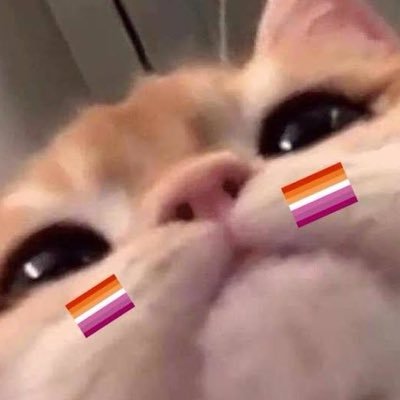Pแฏ๐ณ๏ธโ๐'s profile picture