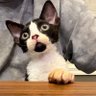 Profilbild von Frank