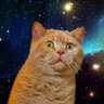 のえる's profile picture