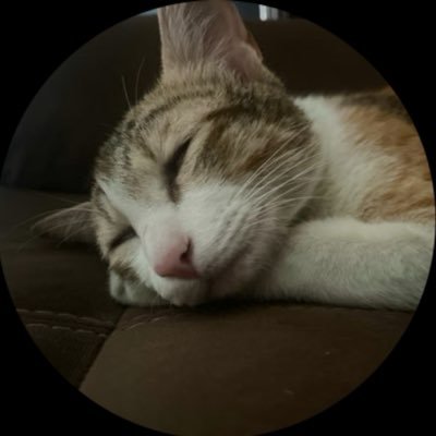 chickenpakodi's profile picture