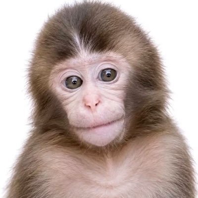 asinadeofelia's profile picture