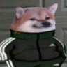 Profilbild von Friggin Dino