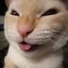 Profilbild von LEVI