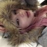 Profilbild von ❄️