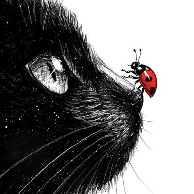 °❀🐞⋆.ೃ࿔*:・࣪ ִֶָ☾.'s profile picture