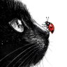 °❀🐞⋆.ೃ࿔*:・࣪ ִֶָ☾.'s profile picture