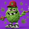 Profilbild von Cannabis Brasil