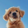it's me bbebluu (แอคหลักติดตม)'s profile picture