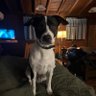 Raven28's profile picture