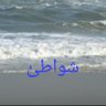 شواطئ هادئة 的头像