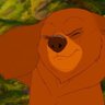 Profilbild von bear