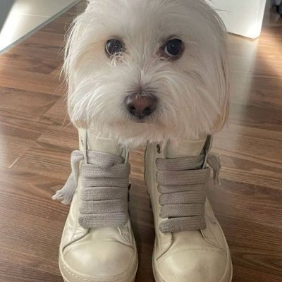 MissTisdale's profile picture