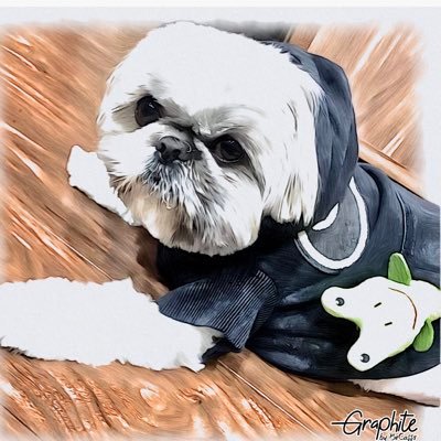 さなぉ's profile picture