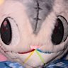 🦄 🎀Destiny / Everett 🌈's profile picture