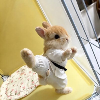 n_n_d_d0414's profile picture