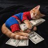 Selmi's profile picture