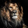praveenkumar(nani) profil fotoğrafı