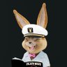 Yacht King profil fotoğrafı