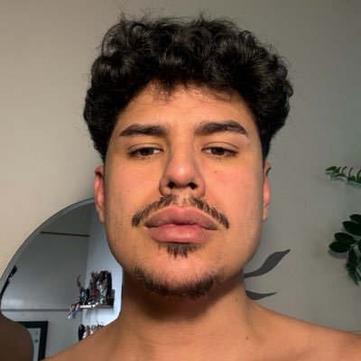 leonedants's profile picture