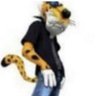 Profilbild von jo