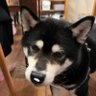 KURO☁️🔧's profile picture