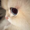 MrSnorch's profile picture