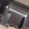 绵绵's profile picture