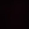 🦁 profil fotoğrafı