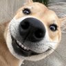 Фото профиля Tobi 🫵😹