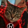 MariꗞhGs's profile picture