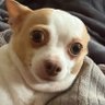 Carri's profile picture