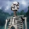 Slim Bonez 的头像