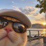 Lie's profile picture
