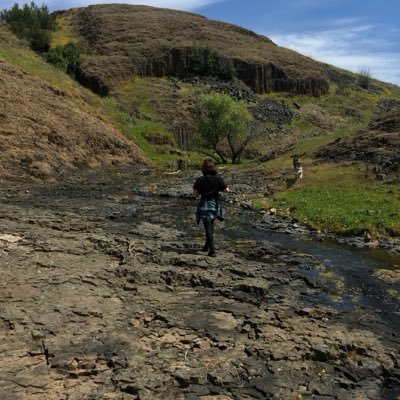 Alicia Olivia Lapp's profile picture