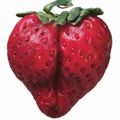 SubMouss's profile picture